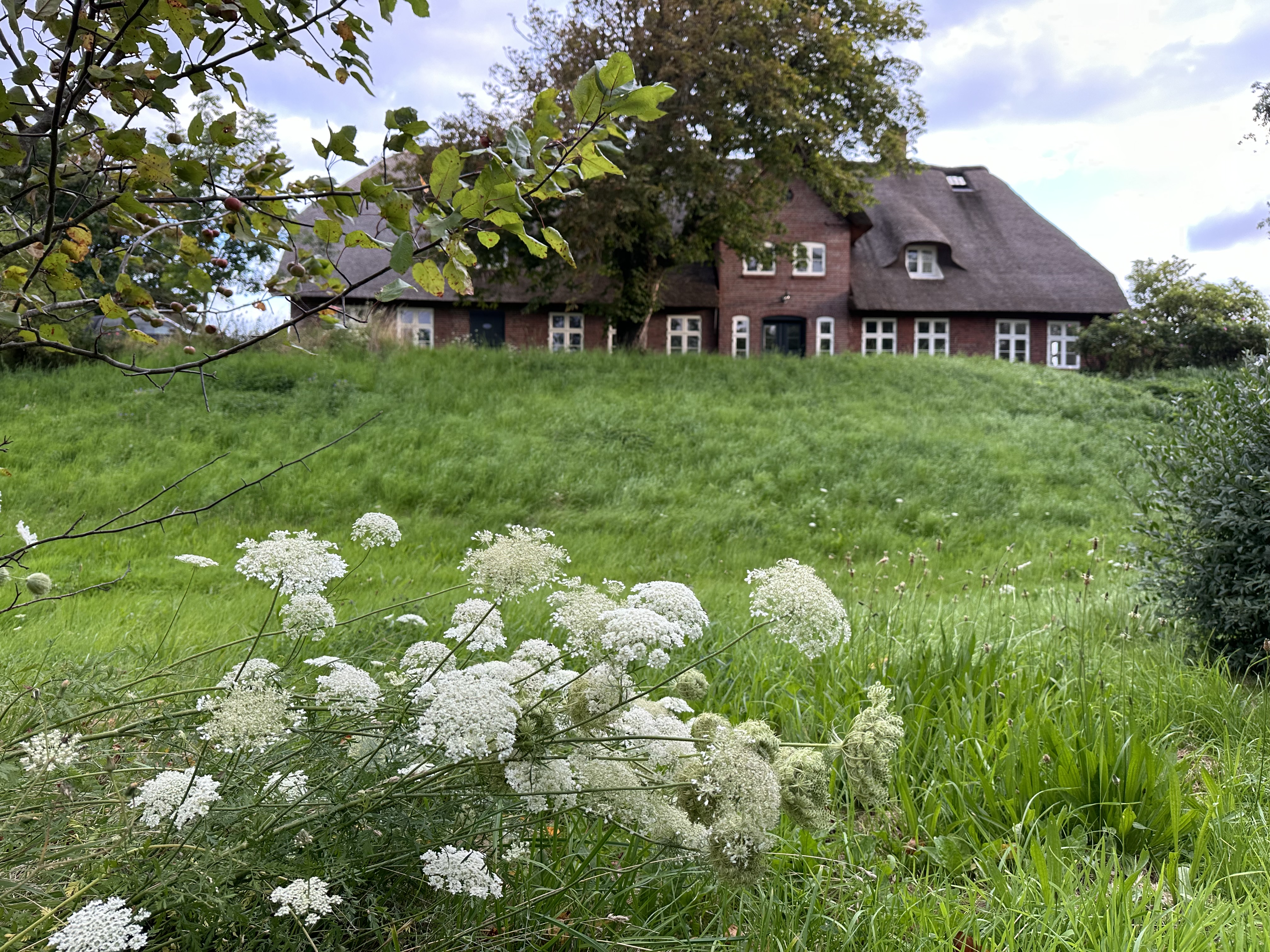 Catharinenwarft